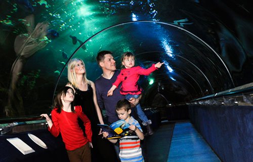 Familia con niños en el Deep Sea World cerca de Edimburgo